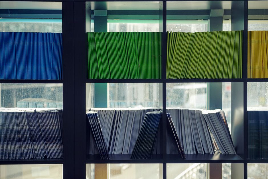 Neatly arranged books with colored covers on library shelves in soft natural light.
